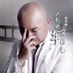 人到中年不得已 (伴奏)