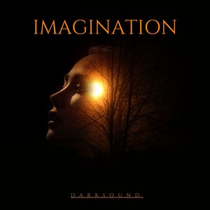 Imagination