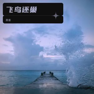 飞鸟还巢 (伴奏)