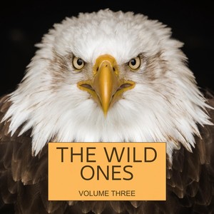 The Wild Ones, Vol. 3