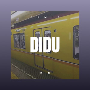 迷人的危险 (DJ版)