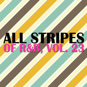 All Stripes of R&B, Vol. 23