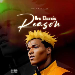 REASON (Explicit)