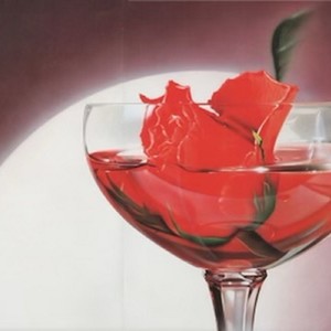 CONCEITED (Explicit)