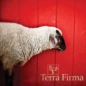 Terra Firma