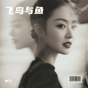 飞鸟与鱼 (何瑀 remix|Remix)
