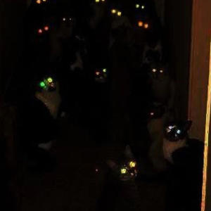 Addict 3 (feat. 50vault) (Explicit)