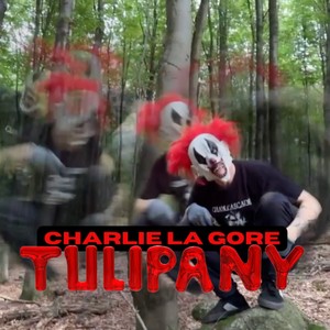 TULIPANY