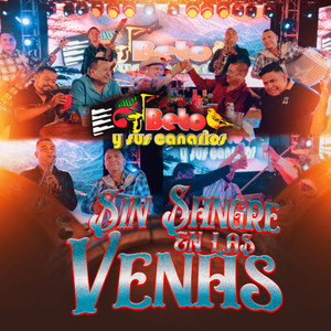 Sin Sangre En Las Venas