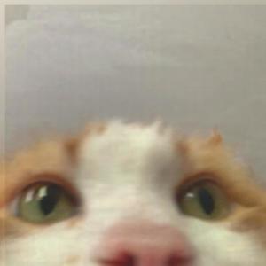 make it up to you (feat. Metraberryy)