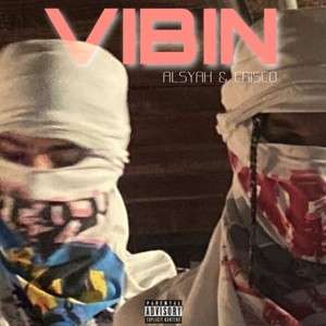 VIBIN (Explicit)