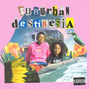 Suburban Destinesia (Explicit)