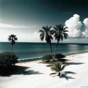 AFK (A Florida Kid) (Explicit)