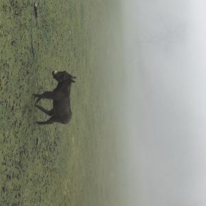 原谅我不懂你的悲伤