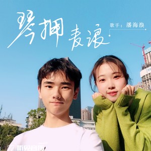 琴拥麦浪