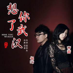 想你了,武汉