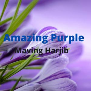 Amazing Purple