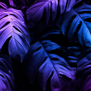 I Run (Speed Garage)