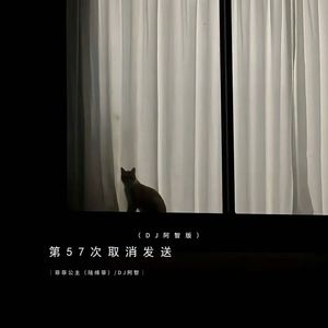 第57次取消发送 (DJ阿智版)