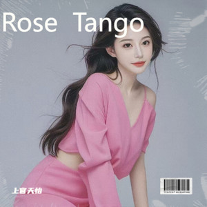 天怡 - fireworks (伴奏)