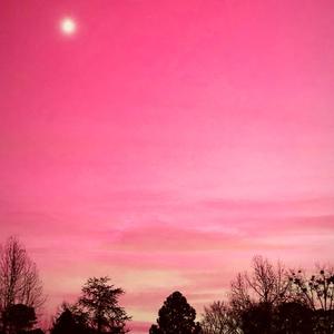 Forever Rees (Inst.)