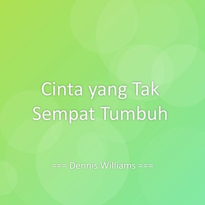 Cinta yang Tak Sempat Tumbuh