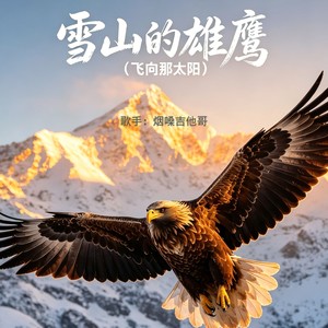 雪山的雄鹰（飞向那太阳）封面