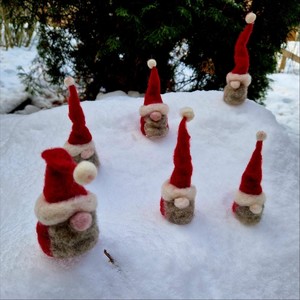 Army of Gnomes