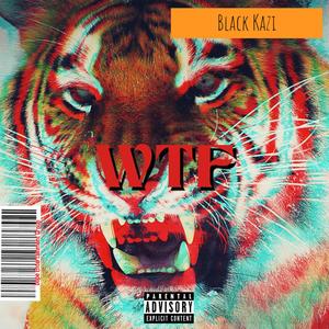 WTF (Explicit)