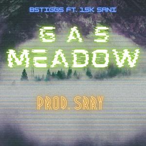 Gas Meadow(Terminal Exclusive)[feat. 15k Sani] (Explicit)