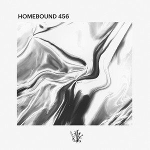 Homebound 456 (Explicit)