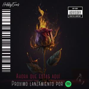 Ahora que estás aquí