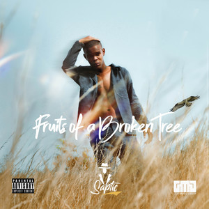 Folish (Explicit)