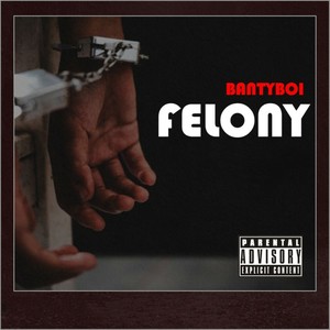 Felony (Explicit)