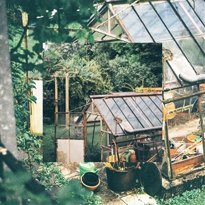 Greenhouse