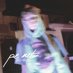 Pe Net(feat. Lil Alex) (Explicit)