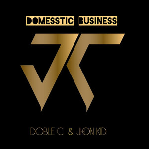 Domesstic Business