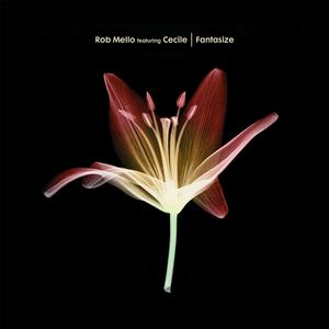 Fantasize (feat. Cecile) (Vocal Club Mix)