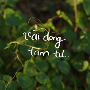 Vài Dòng Tâm Tư