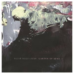 Peter Wolf Crier - Having It Out