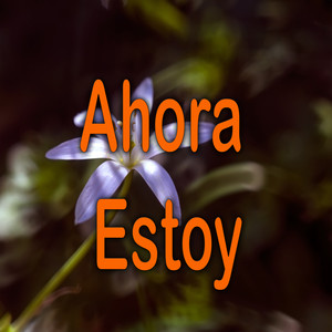 Ahora Estoy