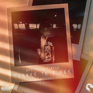 THANKS TO FLOCK (Sampler) [Explicit]