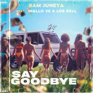 Say Goodbye (Explicit)