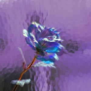 only chemical (feat. ilyswitch, slayingibis & 5head) (Explicit)