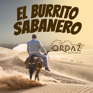 El burrito Sabanero