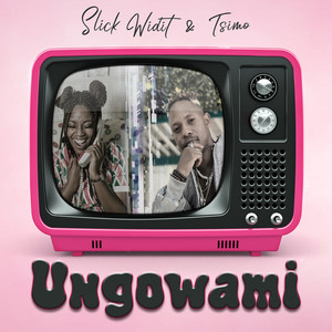 Ungowami