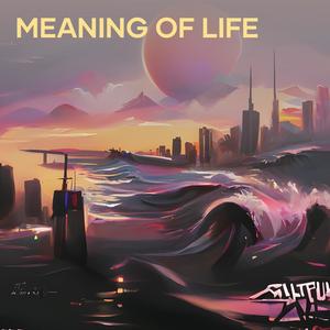 Meaning of Life