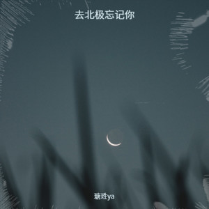 去北极忘记你