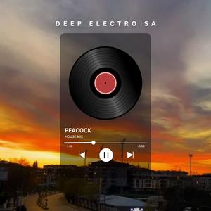 Peacock (Deep Electro SA ReWork)