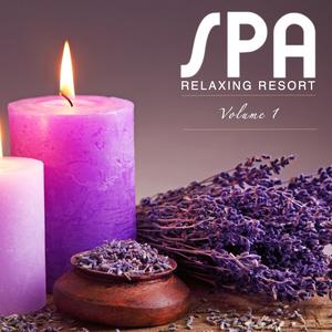 Spa Relaxing Resort Vol.1